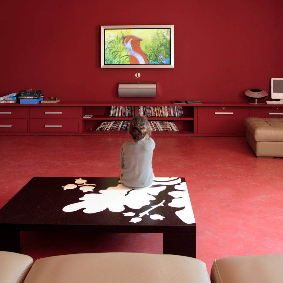 Bibliothèque et rangements sur mesure dans un séjour